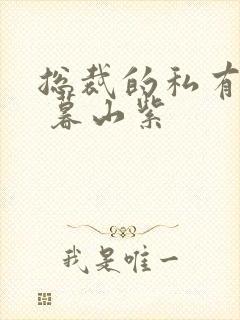 总裁的私有宝贝 暮山紫