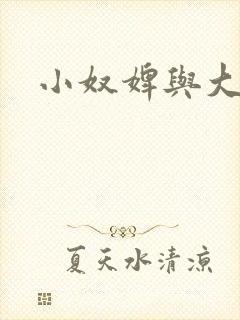 小奴婢与大少爷
