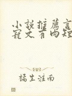 小说推荐言情甜宠文有肉短篇完结