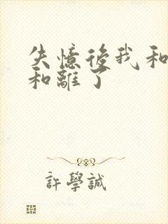 失忆后我和王爷和离了