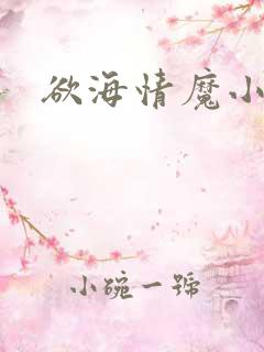 欲海情魔小说