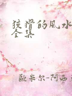 狡猾的风水相师全集