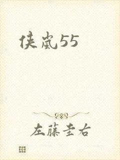 侠岚55