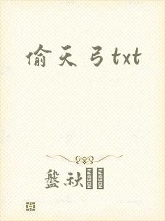 偷天弓txt