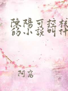 陈阳可控核聚变的小说叫什么名字