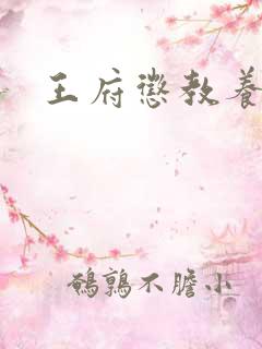 王府惩教养日常