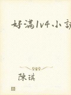 好满1v4小说