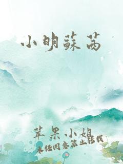 小明苏茜