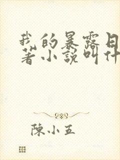 我的暴露日记原著小说叫什么