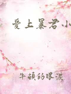爱上暴君小甜心
