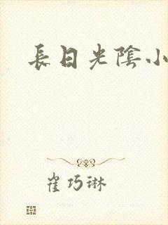长日光阴小说