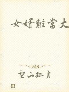 女婿难当大结局