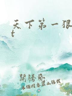 天下第一狠txt
