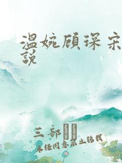 温婉顾琛宋芝小说