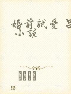 婚前试爱 吕颜 小说