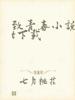 致青春小说txt下载