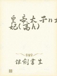 皇帝太子n太子妃(高h)