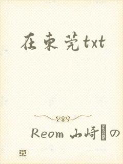 在东莞txt