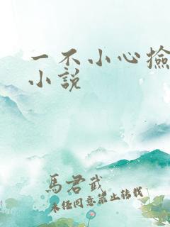 一不小心捡到爱小说