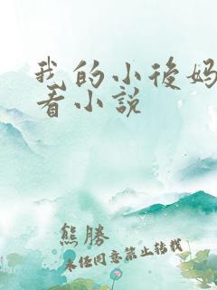 我的小后妈免费看小说