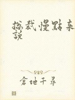 总裁慢点来 小说