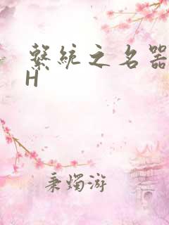 系统之名器勾男H