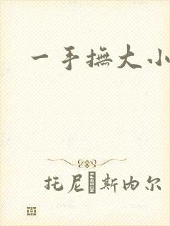 一手抚大小说