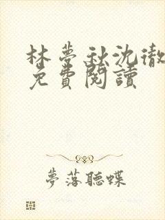 林梦秋沈彻姜衡免费阅读