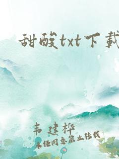 甜酸txt下载