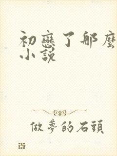 初恋了那么多年小说