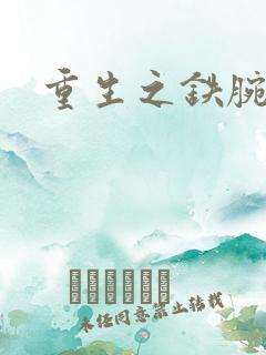 重生之铁腕大亨