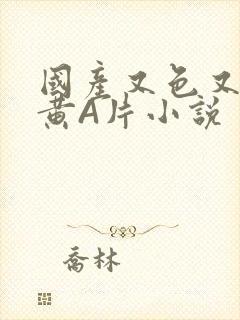 国产又色又爽又黄A片小说