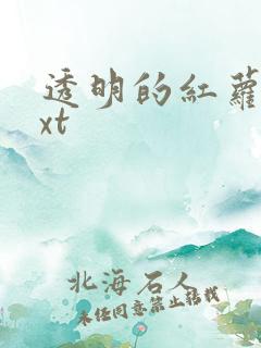 透明的红萝卜txt