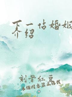 下一站婚姻剧情介绍