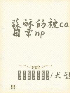 苏酥的被cao日常np