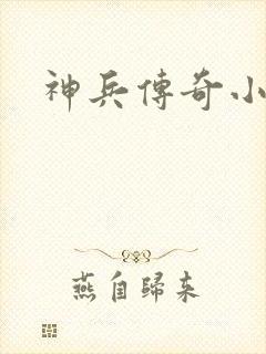 神兵传奇小说