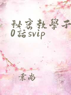 秘密教学子豪60话svip
