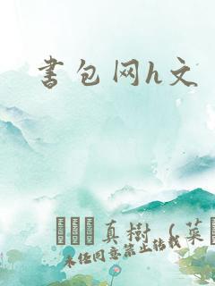 书包网h文