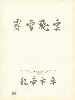 霁雪飞云