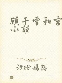 顾千雪和宫凌沨小说
