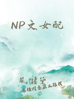 NP文女配