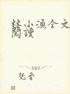 林小渔全文免费阅读