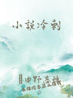 小说冷刺