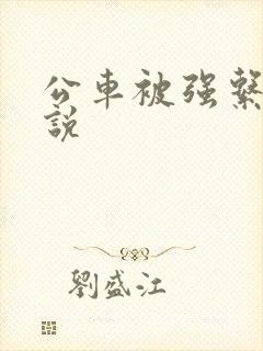 公车被强系列小说
