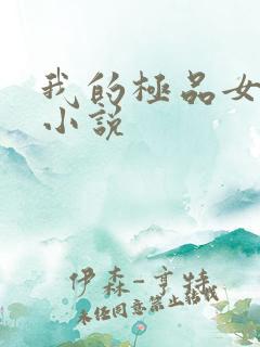 我的极品女老师小说