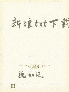 新浪txt下载