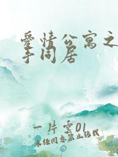 爱情公寓之与杀手同居