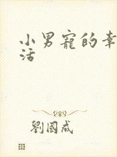 小男宠的幸福生活