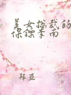 美女总裁的护花保镖李南