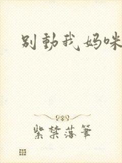 别动我妈咪